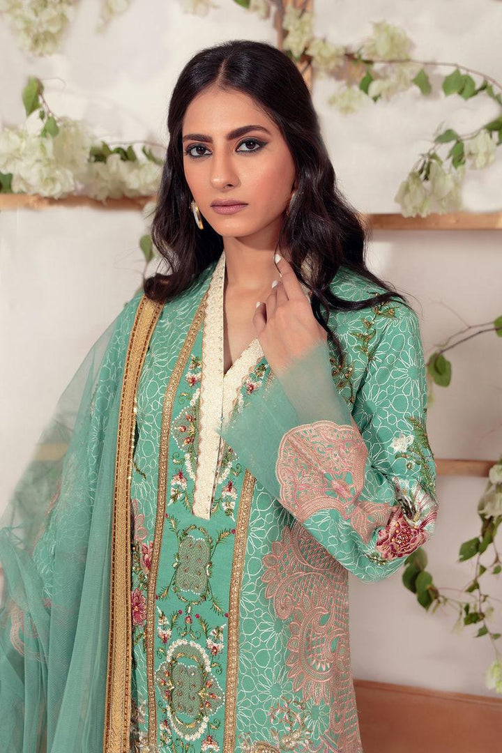 EB-02 - Shameel Ansari - Formal - raniazara