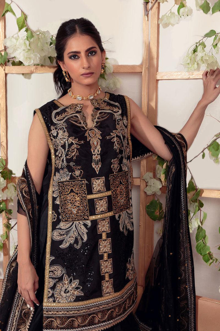 EB-05 - Shameel Ansari - Formal - raniazara