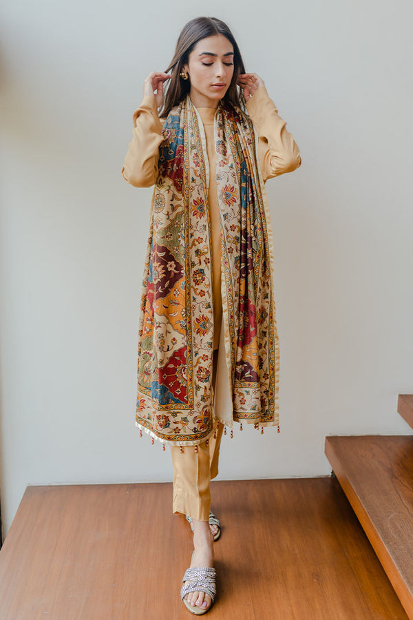 Brown And Beige Velvet Scarf - Komal Nasir