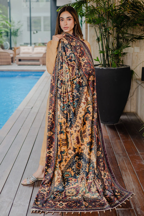 Brown Velvet Shawl - Komal Nasir