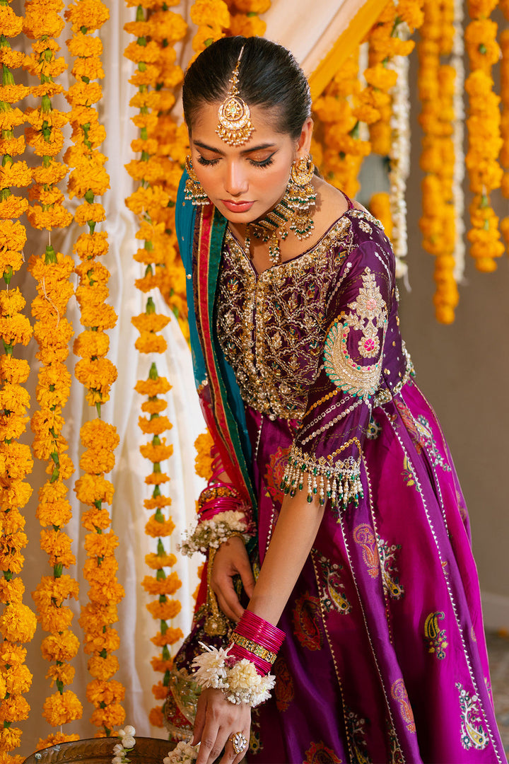 Shehzana Kalidar - Annus Abrar - Mehndi - raniazara