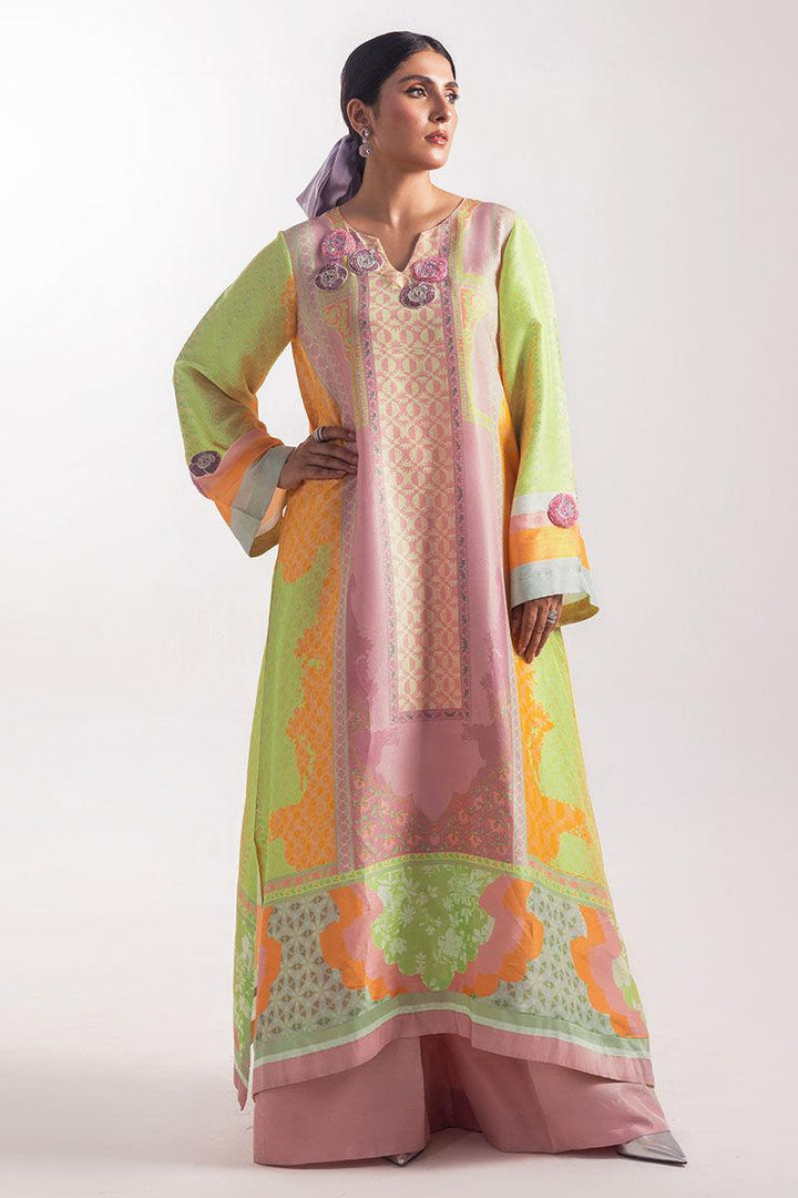 AELIA - Ansab Jahangir - Ready To Ship - raniazara