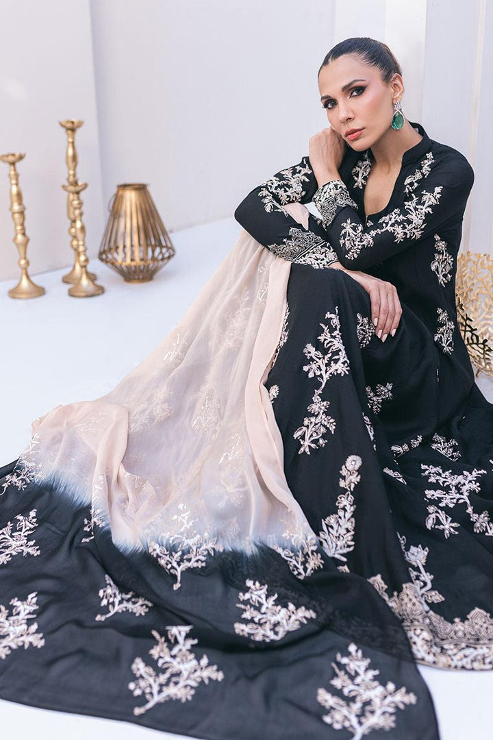 ARDEN - Ansab Jahangir - ready to ship - raniazara