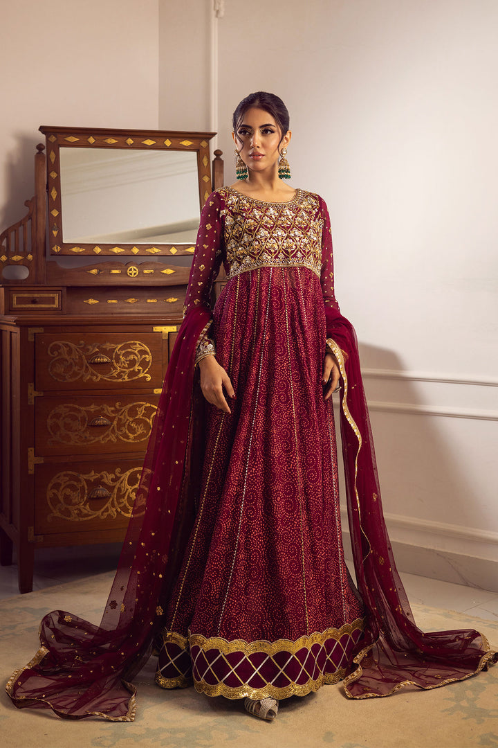 Shalina Kalidar - Annus Abrar - Party Wear Dress - raniazara