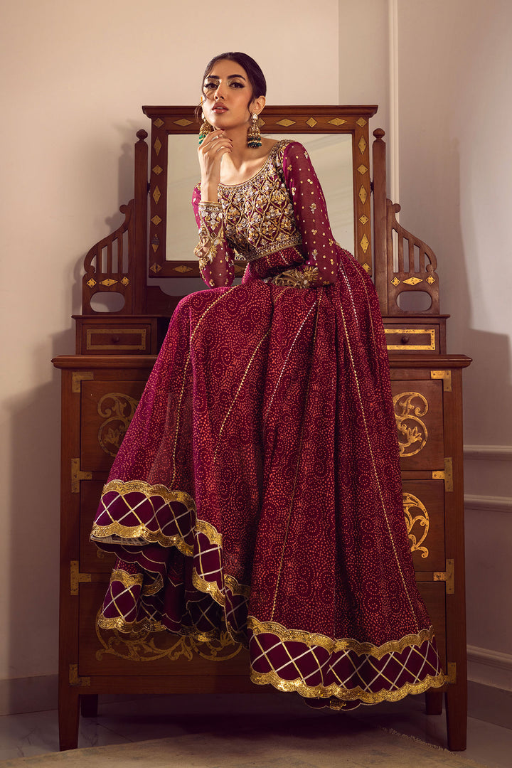 Shalina Kalidar - Annus Abrar - Party Wear Dress - raniazara