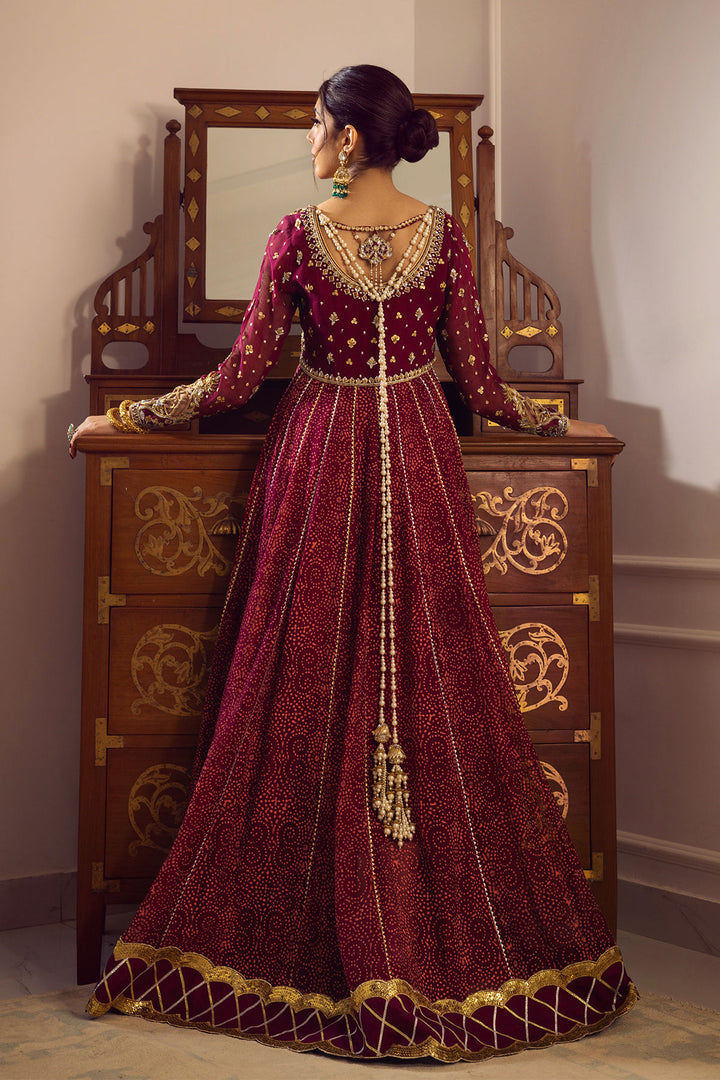 Shalina Kalidar - Annus Abrar - Party Wear Dress - raniazara