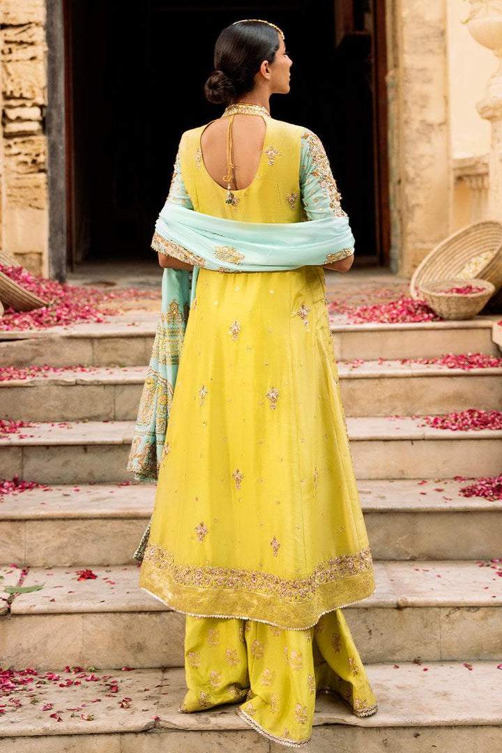 AFTAB - Ansab Jahangir - Formals - raniazara