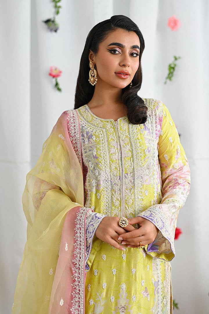 Halime - Ansab Jahangir - Formals - raniazara