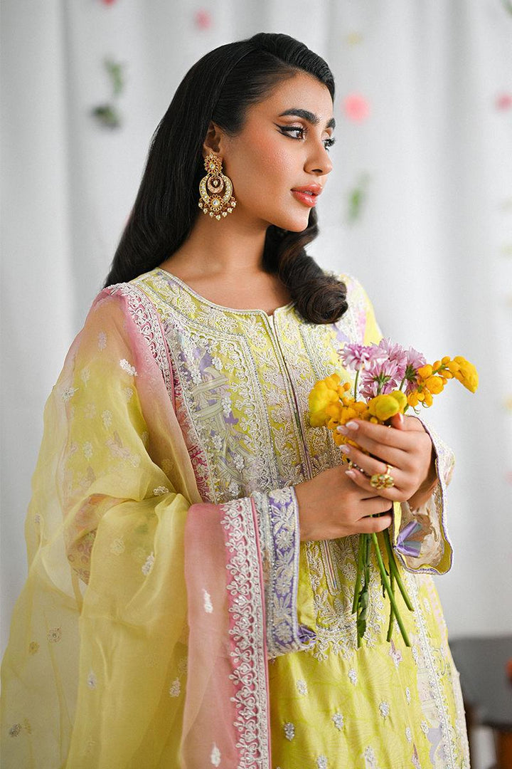 Halime - Ansab Jahangir - Formals - raniazara