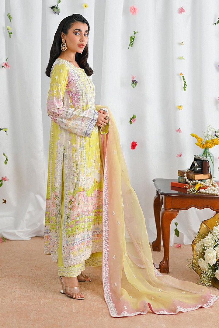 Halime - Ansab Jahangir - Formals - raniazara