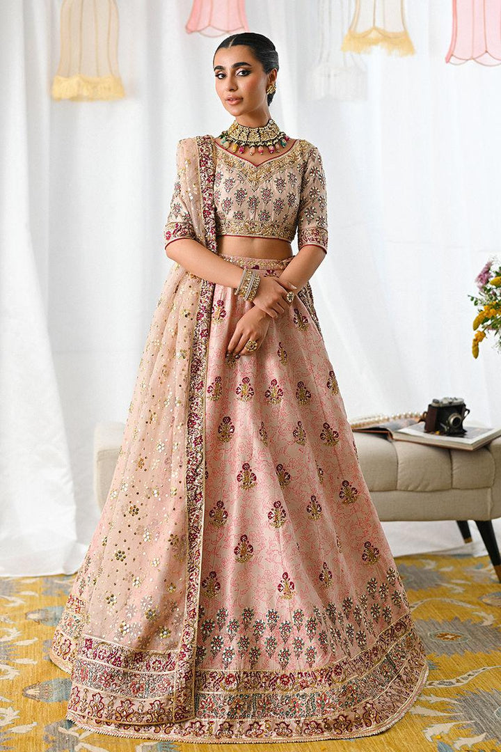 Ayline - Ansab Jahangir - Formals - raniazara