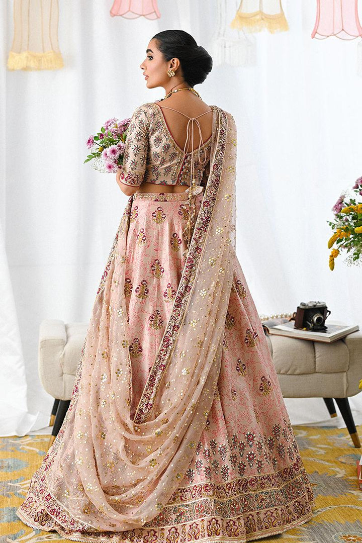 Ayline - Ansab Jahangir - Formals - raniazara