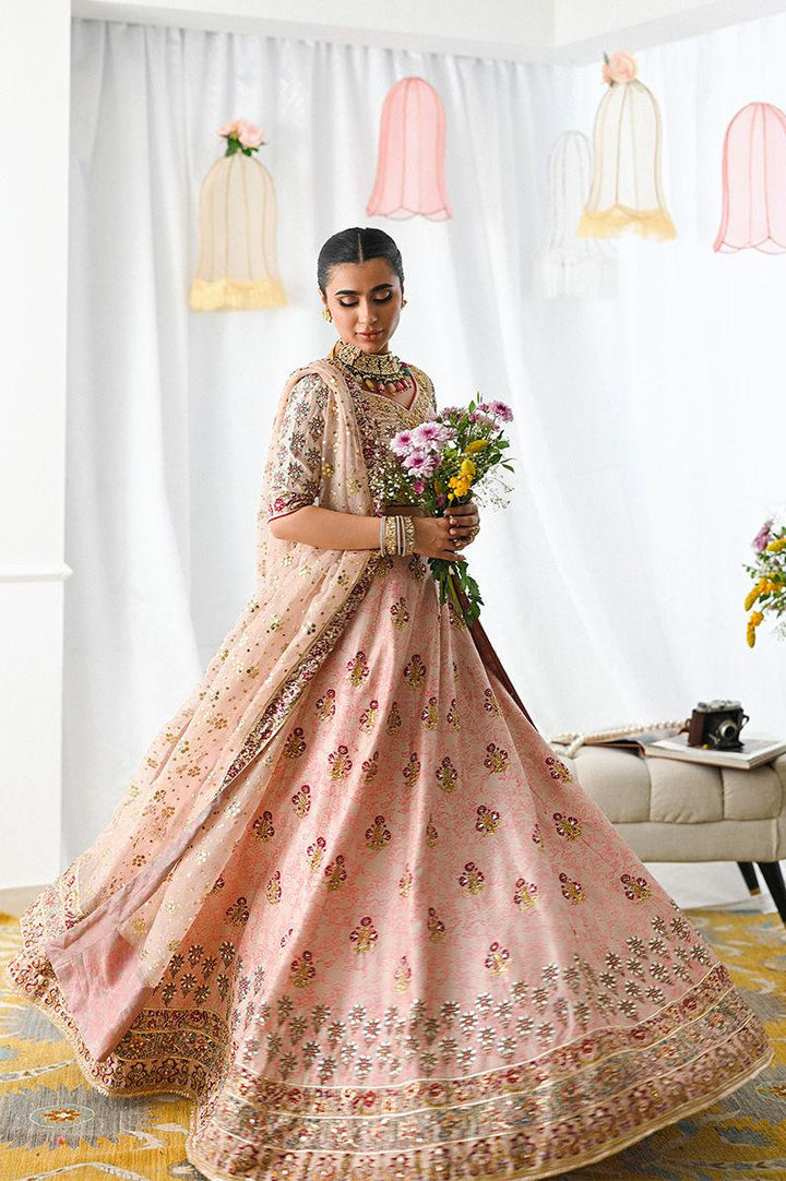 Ayline - Ansab Jahangir - Formals - raniazara