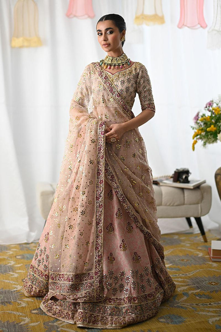 Ayline - Ansab Jahangir - Formals - raniazara