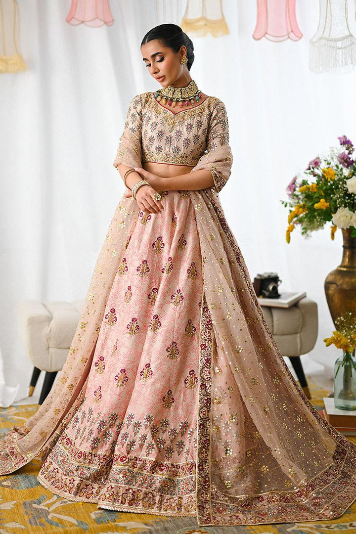 Ayline - Ansab Jahangir - Formals - raniazara