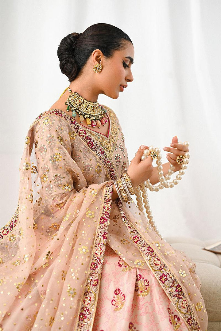 Ayline - Ansab Jahangir - Formals - raniazara