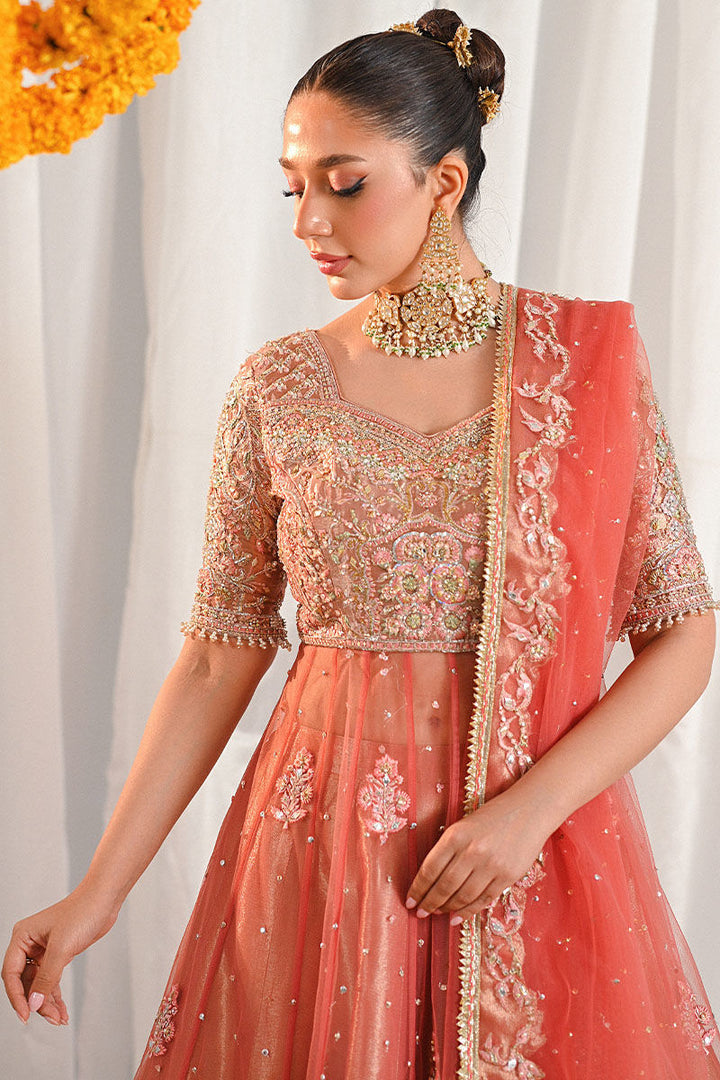 Shahnoor - Ansab Jahangir - pakistani party wear - Formal - raniazara