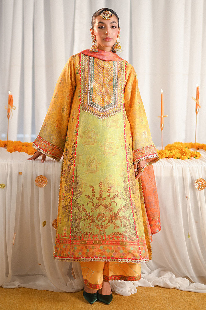 Nawal - Ansab Jahangir - Pakistani Party Wear - Formal - raniazara