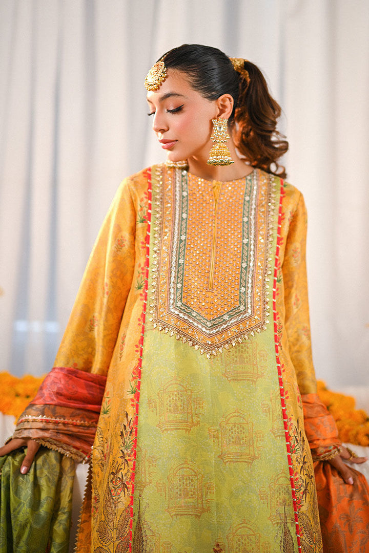 Nawal - Ansab Jahangir - Pakistani Party Wear - Formal - raniazara