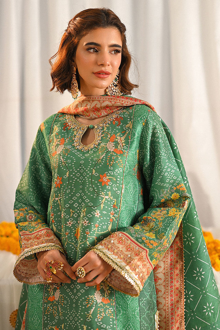 Ayana - Ansab Jahangir - Pakistani Party Wear - Formal - raniazara