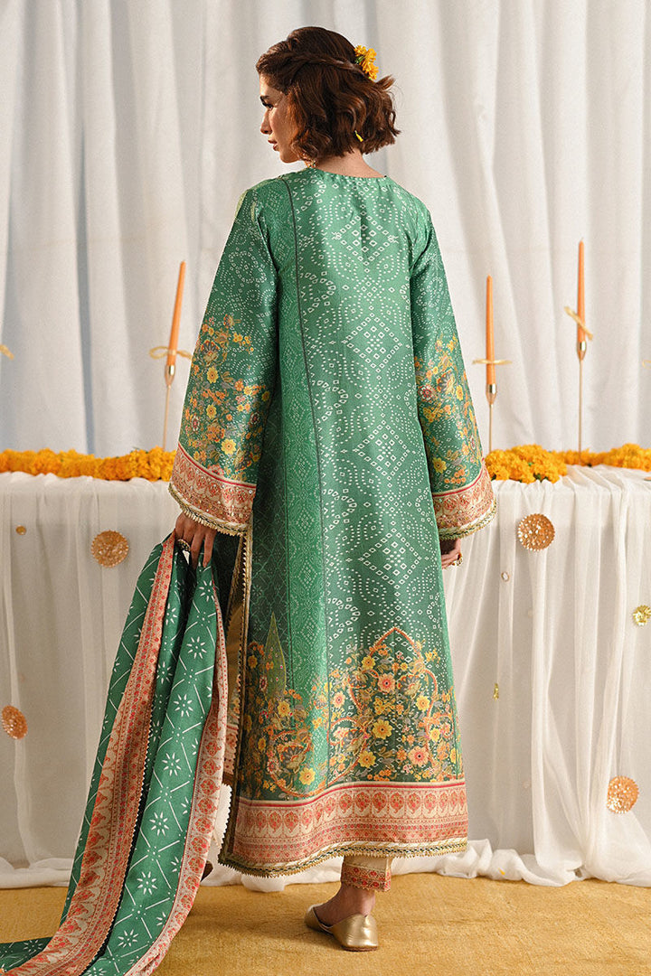 Ayana - Ansab Jahangir - Pakistani Party Wear - Formal - raniazara