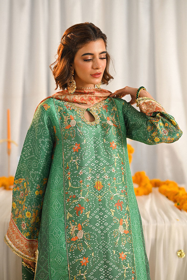 Ayana - Ansab Jahangir - Pakistani Party Wear - Formal - raniazara