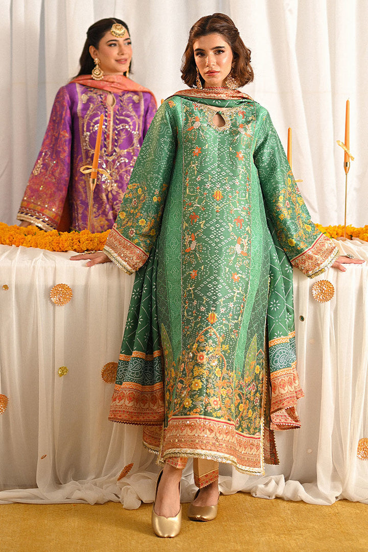 Ayana - Ansab Jahangir - Pakistani Party Wear - Formal - raniazara