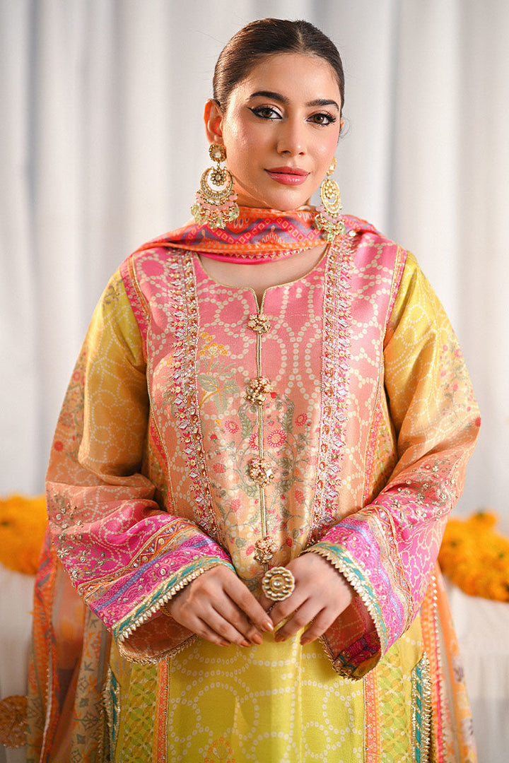 Miraal - Ansab Jahangir - Pakistani Party Wear - Formal - raniazara