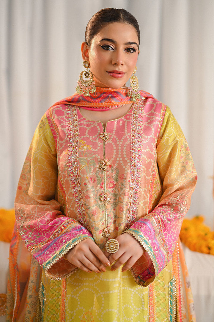 Miraal - Ansab Jahangir - Pakistani Party Wear - Formal - raniazara