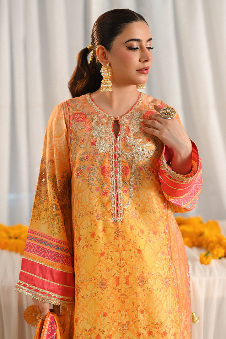 Parishay - Ansab Jahangir - Pakistani Party Wear - Formal - raniazara