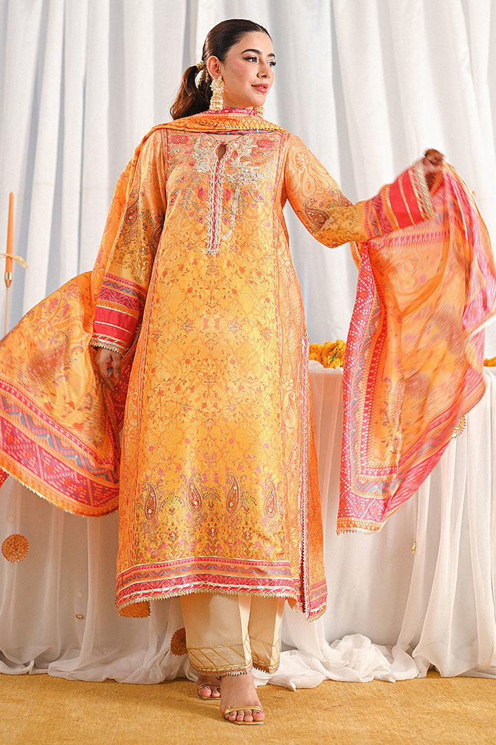 Parishay - Ansab Jahangir - Pakistani Party Wear - Formal - raniazara