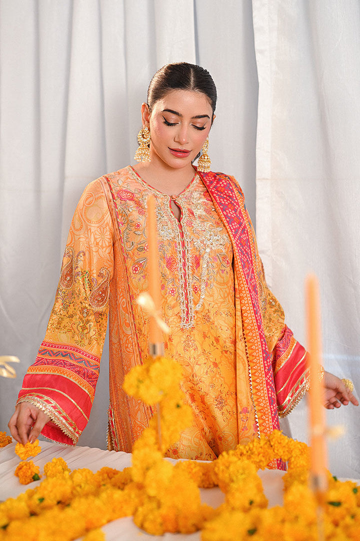 Parishay - Ansab Jahangir - Pakistani Party Wear - Formal - raniazara