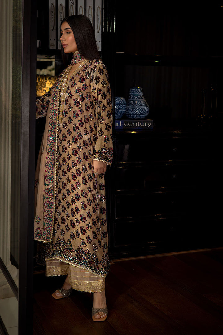 Lauren - Ansab Jahangir - Velvet Suit - raniazara