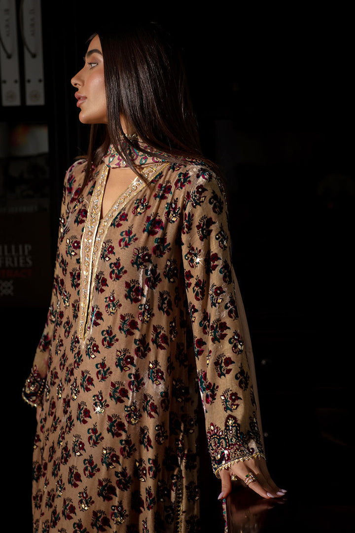 Lauren - Ansab Jahangir - Velvet Suit - raniazara