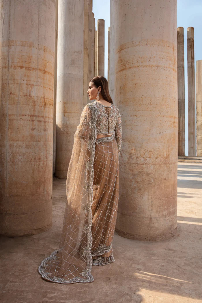 SC-001- Ayesha Shoaib Malik - Saree - raniazara