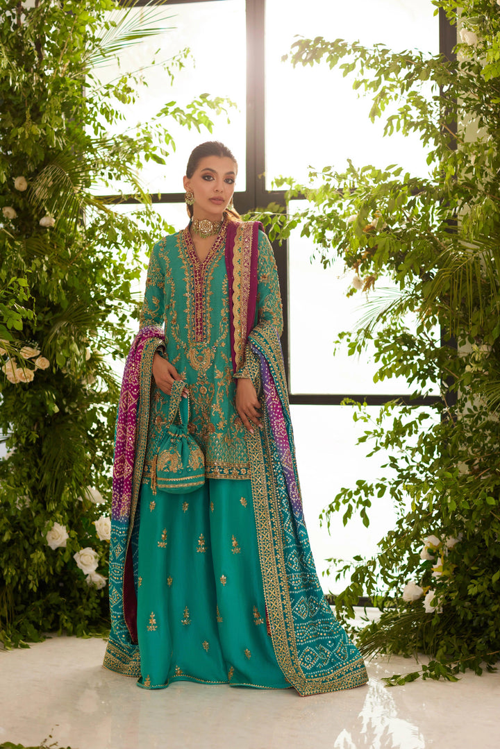 MHC-1129 - Mina Hasan - Pakistani party Wear - Formal - raniazara