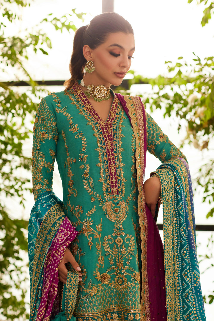 MHC-1129 - Mina Hasan - Pakistani party Wear - Formal - raniazara