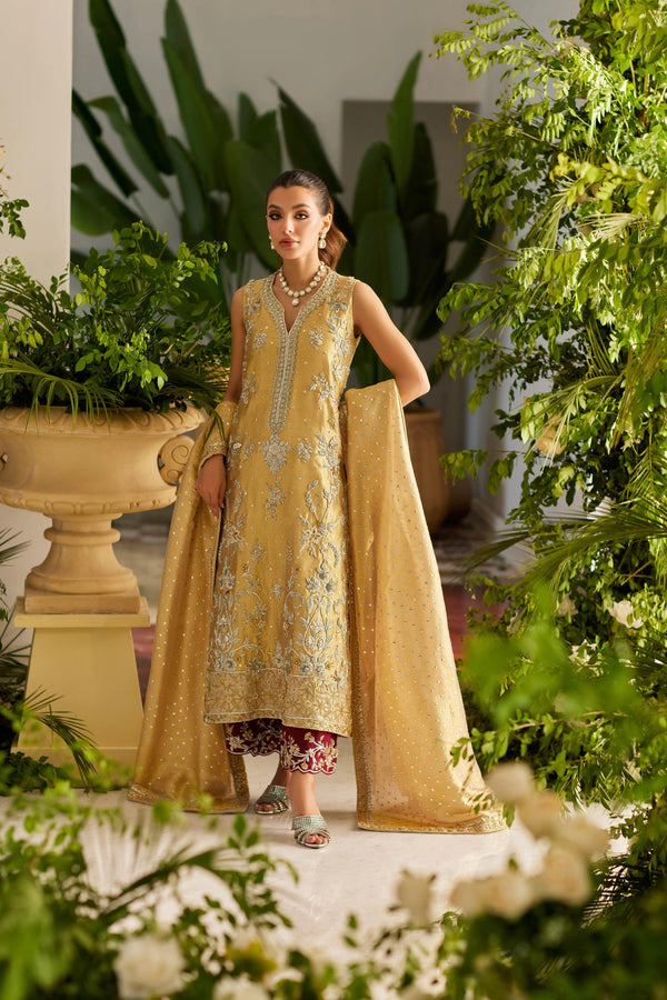 MHC-1127 - Mina Hasan - Pakistani party Wear - Formal - raniazara