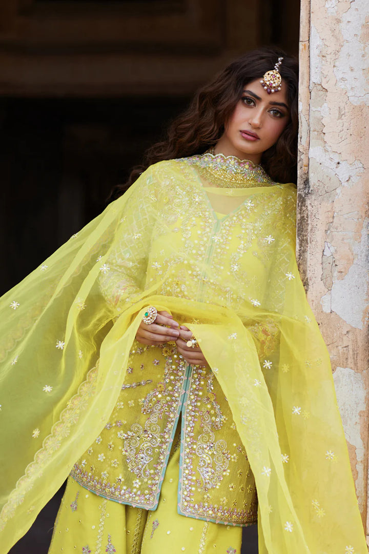 Dania SH-05 - Qalamkar - Asain Formal Wear - rania zara studio