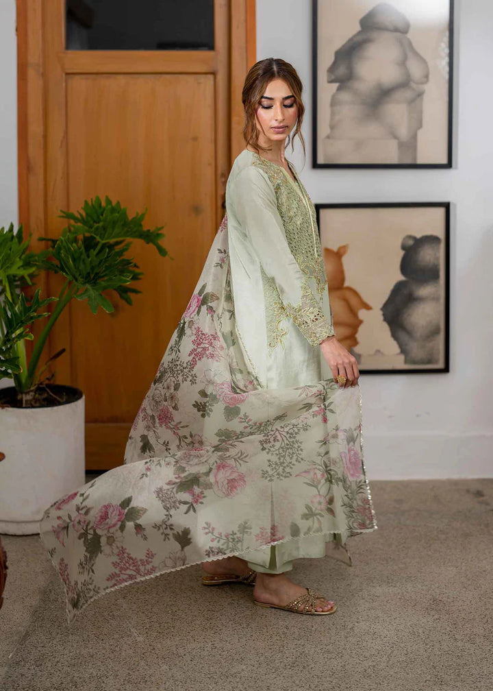 SHALOM - Jeem  - Pakistani Casual Wear - Pret - raniazara