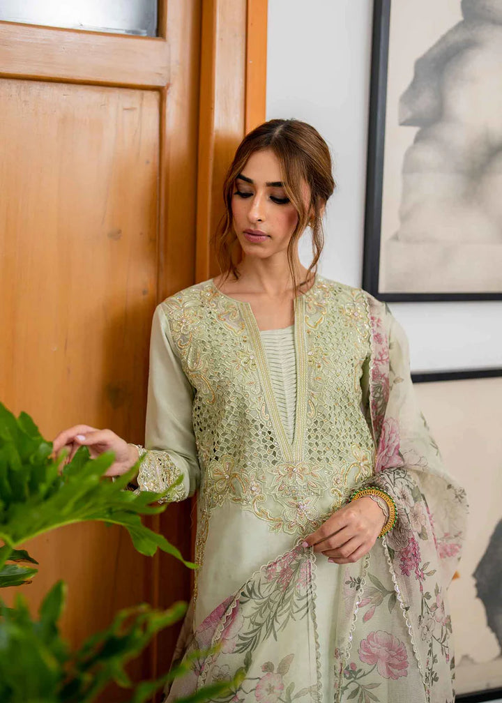 SHALOM - Jeem  - Pakistani Casual Wear - Pret - raniazara