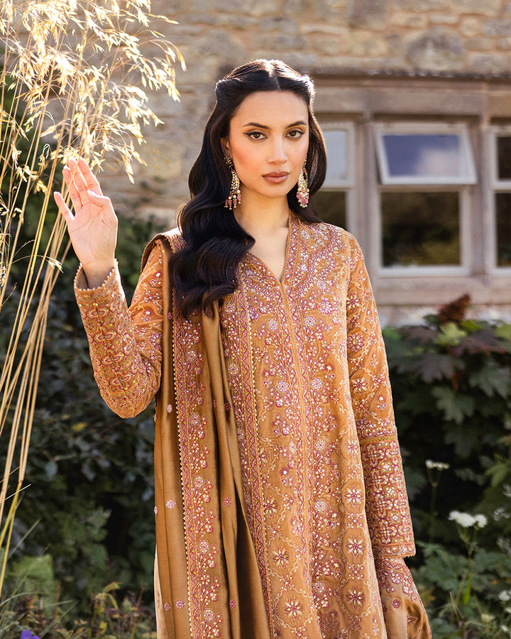 Coreene - Faiza Saqlain - Velvet Suit - raniazara