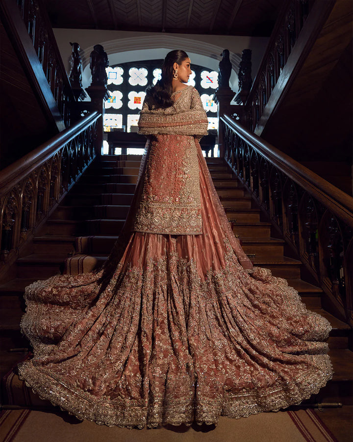 Amari  - Faiza Saqlain - Bridal Dress - raniazara