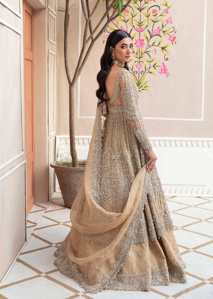 Barsha - Kanwal Malik - formal - raniazara