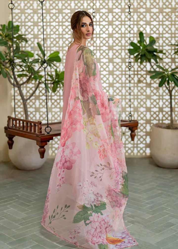 SOLACE - Jeem  - Pakistani Casual Wear - Pret - raniazara