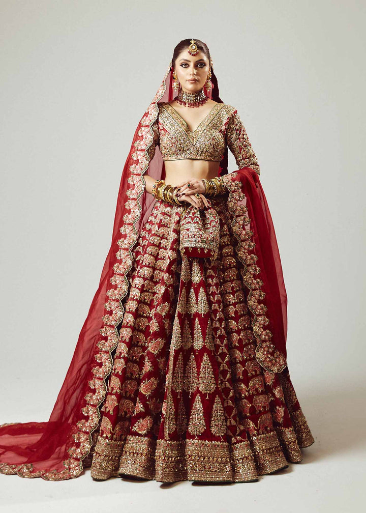 Raaqs - Hussain Rehar - Bridal Lehenga - Bridal - raniazara