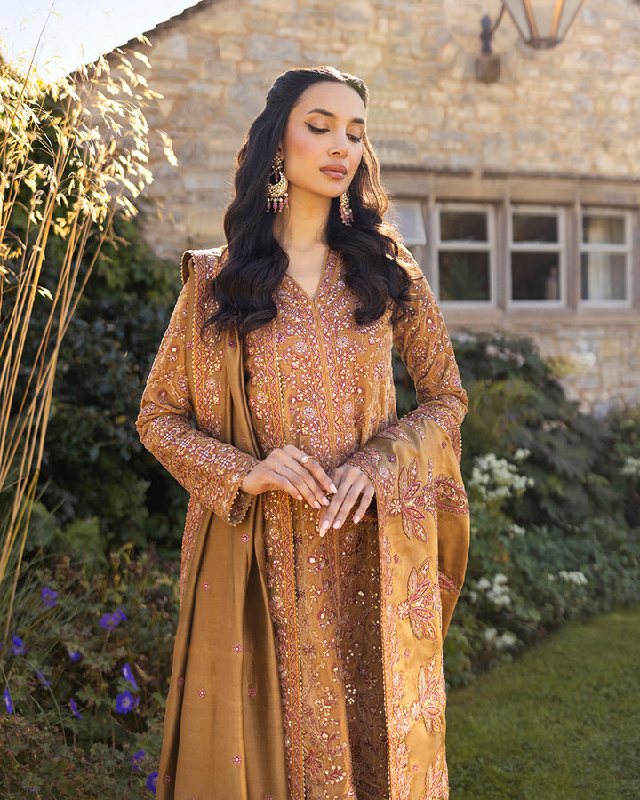 Coreene - Faiza Saqlain - Velvet Suit - raniazara