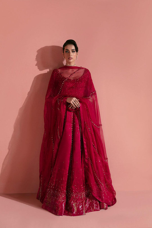 Cherry Red Ombre Lehnga Set raniazarastudio