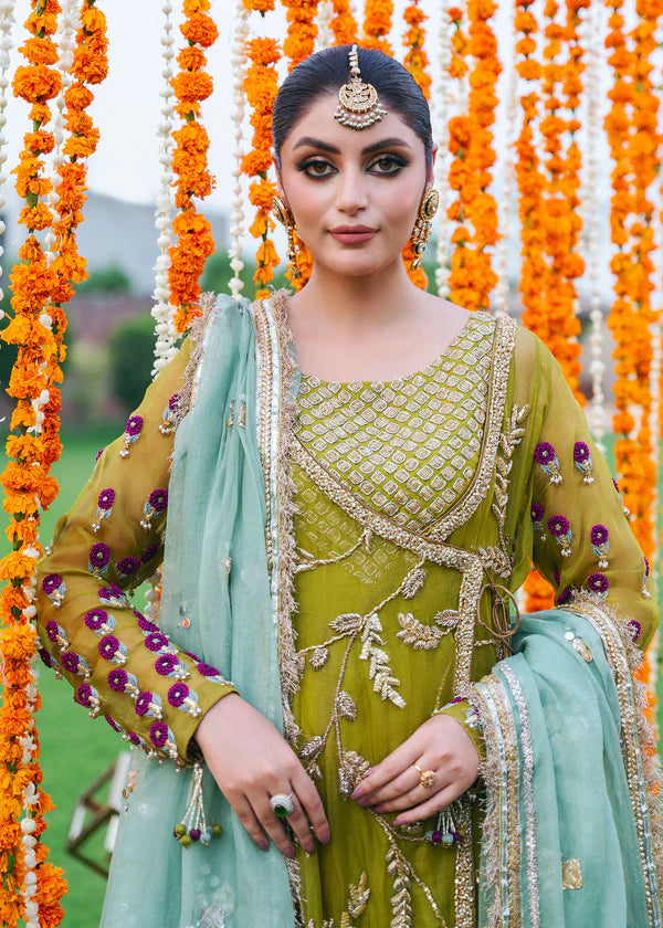 Meera - Souchaj - Mehndi - raniazara