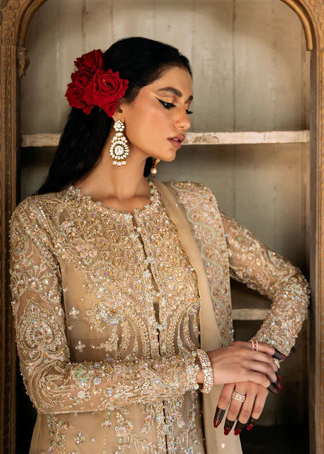 Zarnab - Kanwal Malik - Pakistani Party Wear - Formal - raniazara